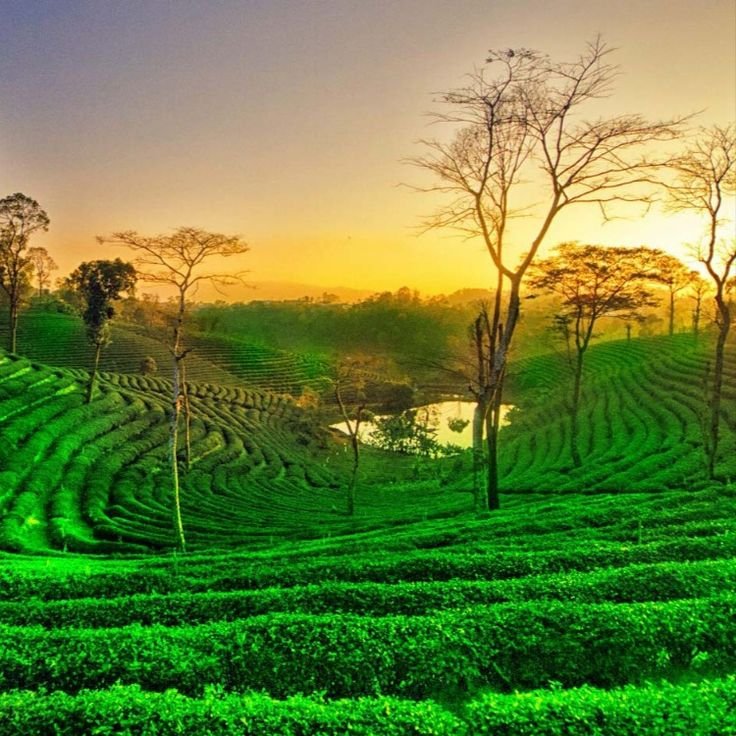 Weekend Gateway — Shillong & Cherrapunji (2 Days)