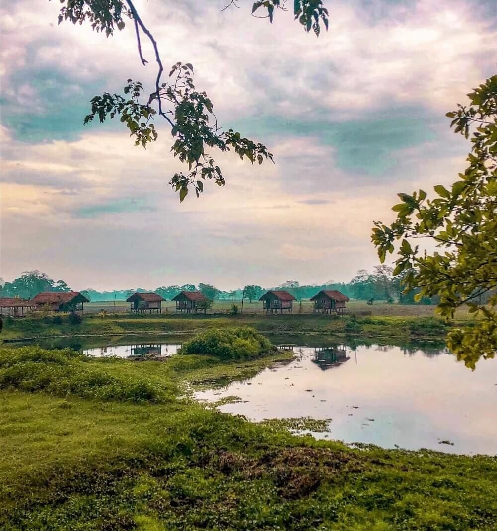 Gallery image 3 of Kaziranga Wildlife Safari (2 Days)