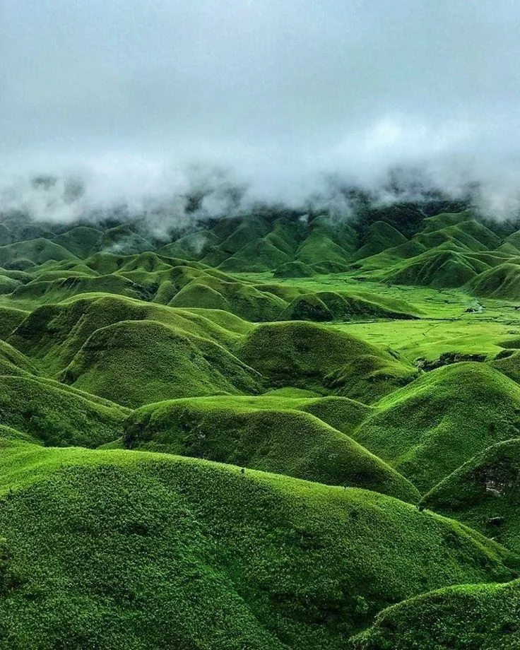 Nagaland with Dzukou Valley Private Trip - Slide 3