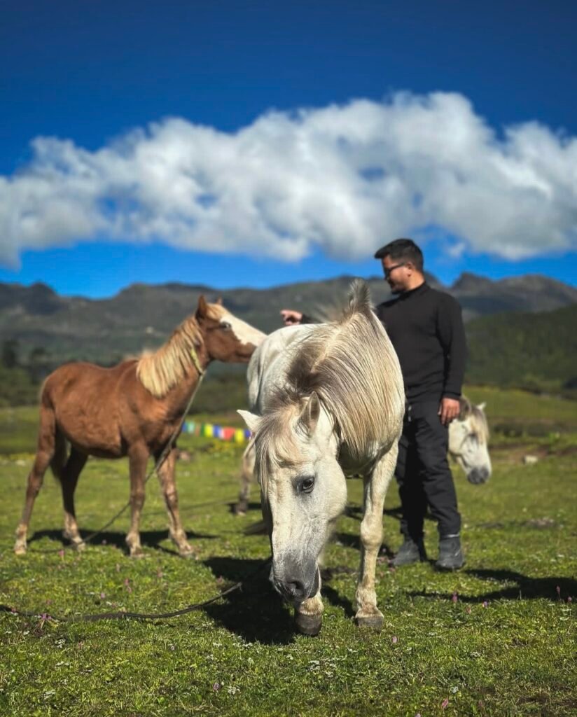 Gallery image 3 of 7 Days Tawang Tour Package
