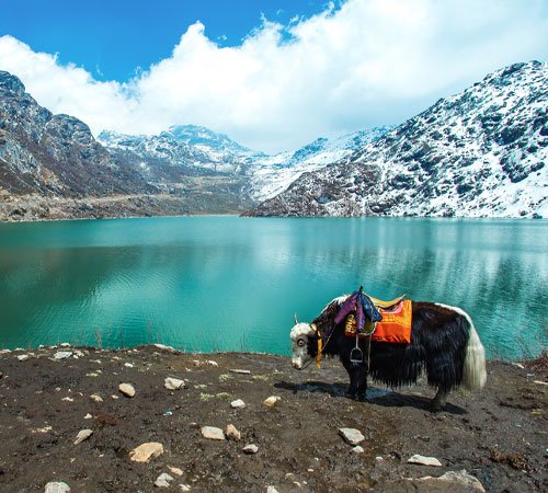 Gallery image 3 of North Sikkim Tour Package 2 Night 3 Days