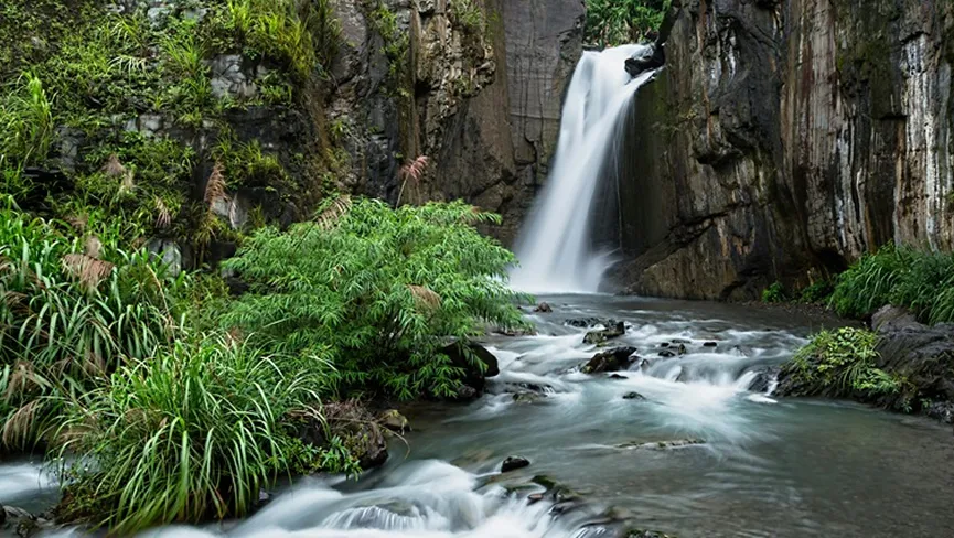 Gallery image 3 of Assam Meghalaya Arunachal