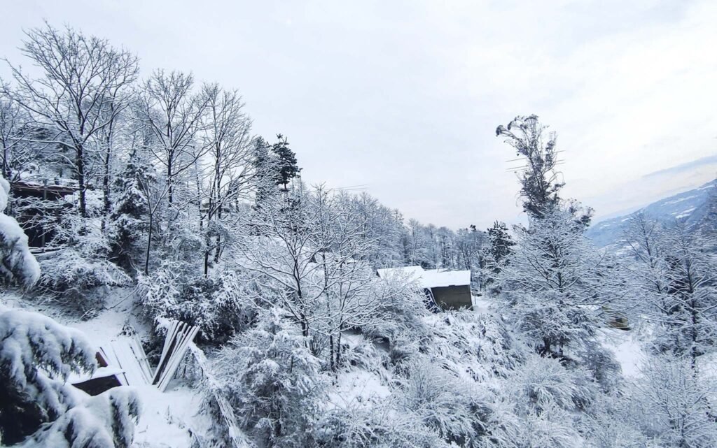 Gallery image 4 of 4 Days Tawang Tour Package