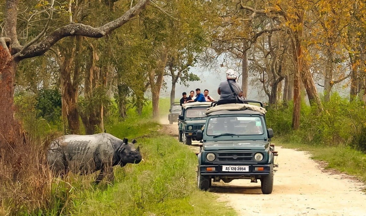 Gallery image 6 of TAWANG & KAZIRANGA TOUR