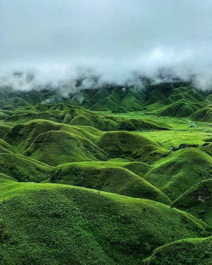 Dzukou Valley Trekking